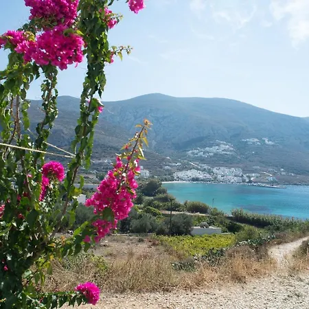 Διαμέρισμα Amorgi *